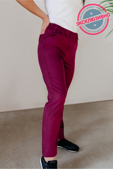 1-02-04-0 Брюки  жен. (ADVA) (19F)